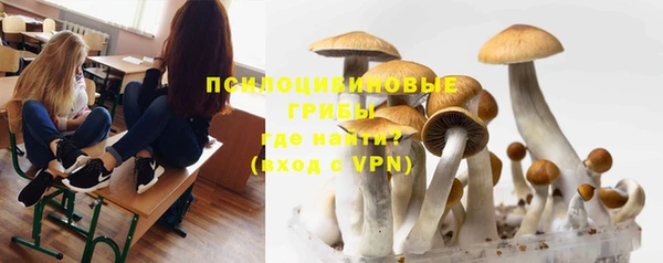 а пвп мука Алексин